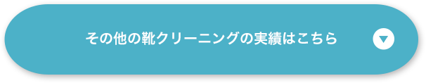 その他の靴クリーニングの実績はこちら